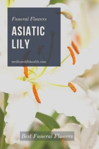 asiatic lily best funeral flowers