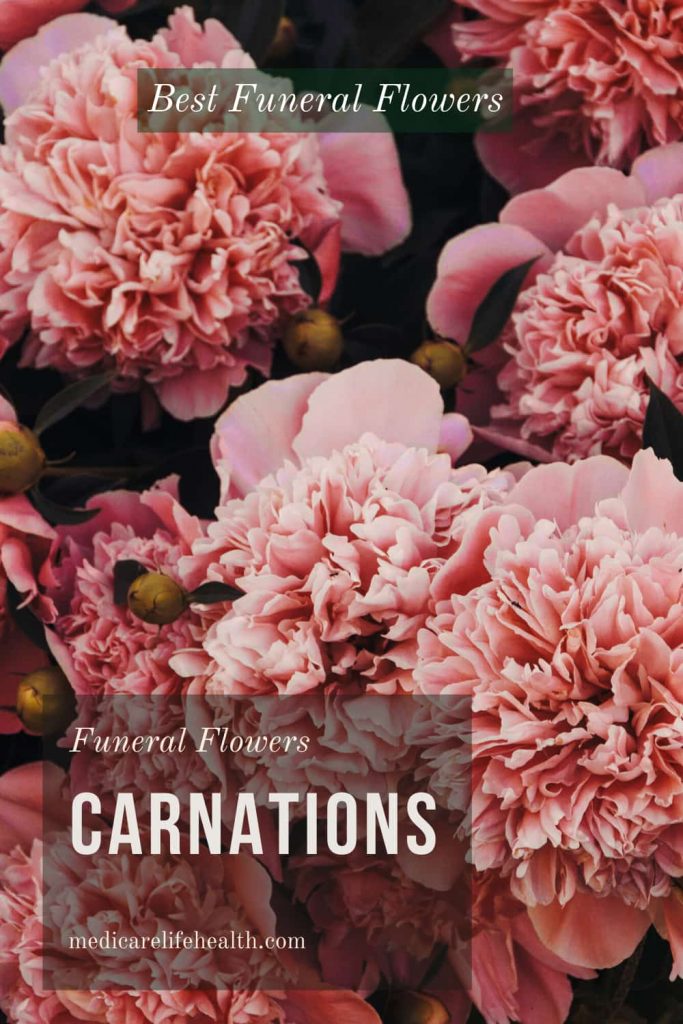 What Flowers are Appropriate for a Funeral? Medicare Life Health